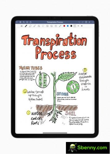 GoodNotes 5 - iPad App of the Year