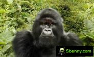 Corning confirms that the Galaxy S23 series will lead the way for the Gorilla Glass Victus 2