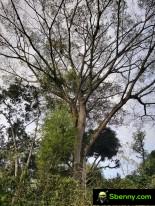 A sample of the Galaxy S23 Ultra's main camera (scaled down)