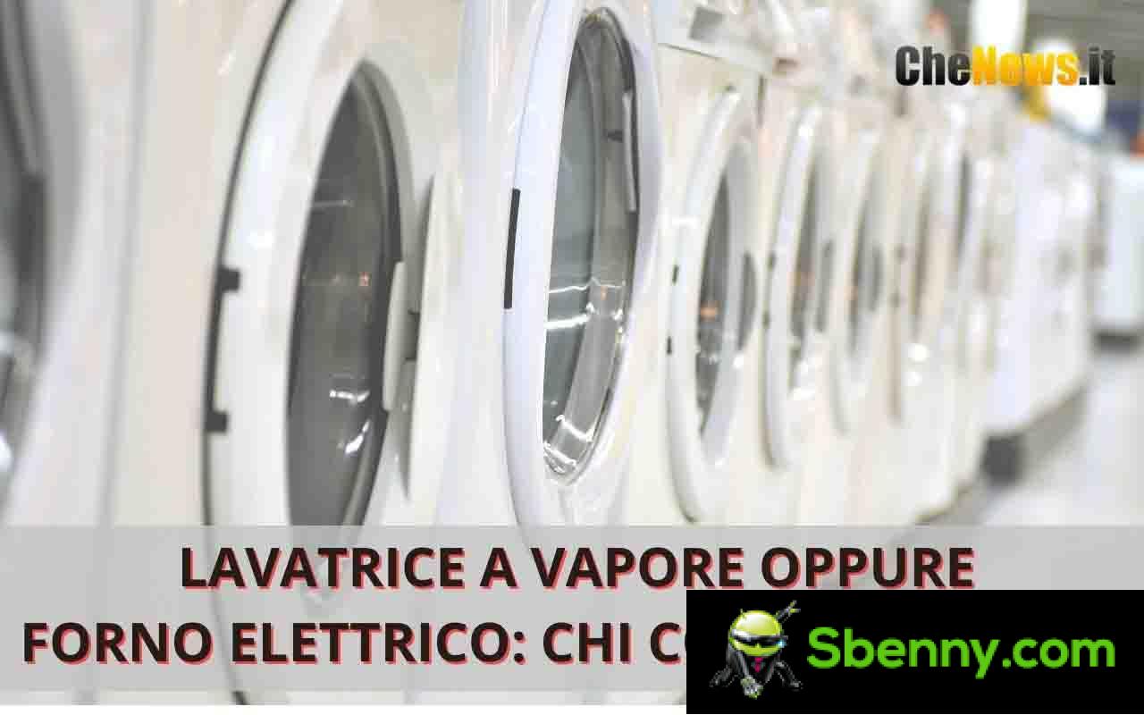 Electric oven steam washing machine