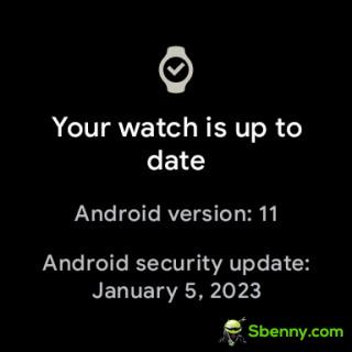 Google Pixel Watch receives January update