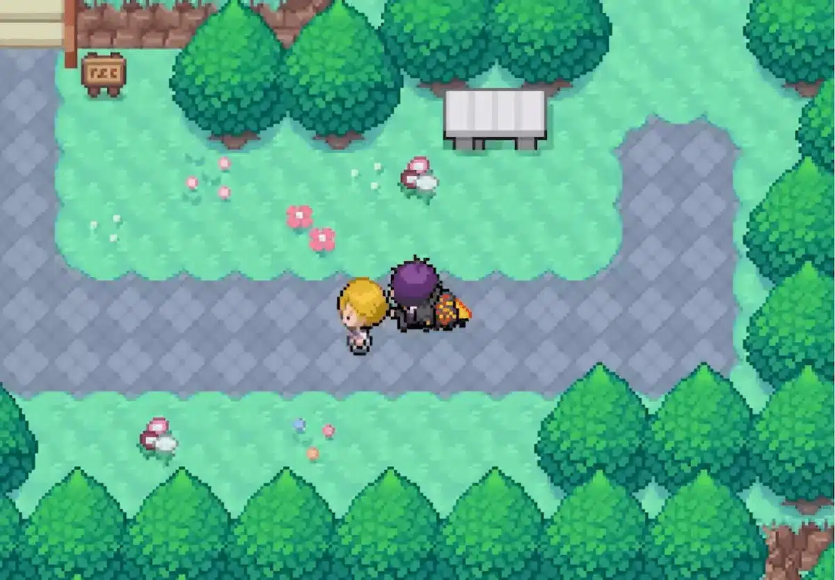 Explore the world of Pokémon Insurgence