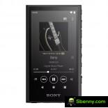 Sony Walkman NW-A300