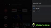 Picture Settings and Brightness - Review by Formovie Dice