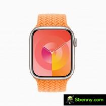 The new Palette watch face