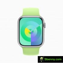 The new Palette watch face