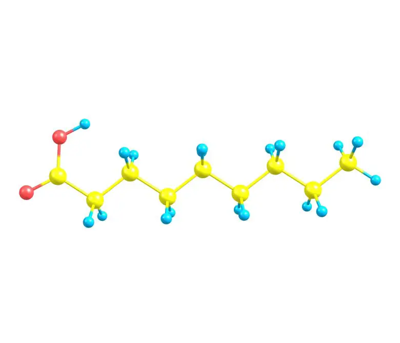 Pelargonic acid molecule