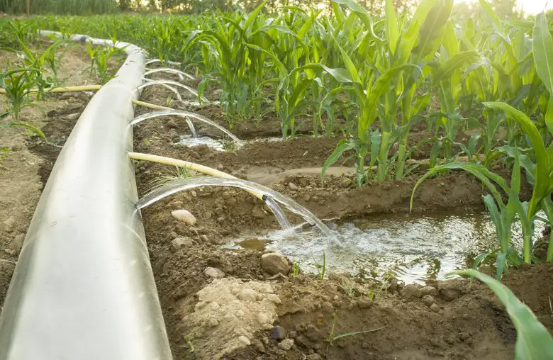 Flow irrigation