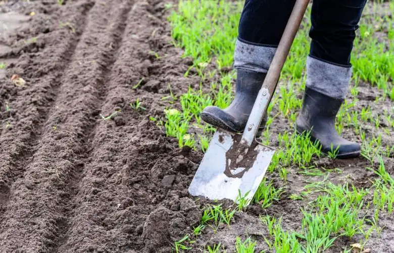 garden digging