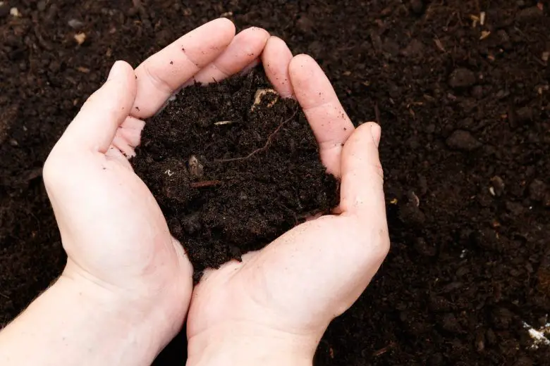Potassium in the ground