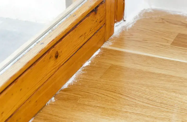 Dust against ants in the house
