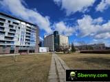 0.6 x 1x - f/2.2, ISO 50, 1/3427s - Samsung Galaxy S23 review