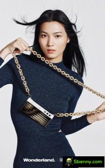 Honor V bag