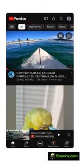 YouTube Premium features