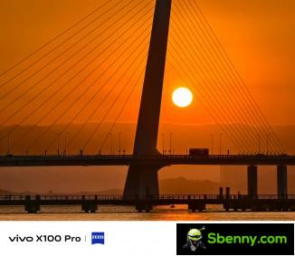 Vivo X100 Pro camera example