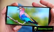 Sony Xperia 1 V gets Android 14 with Video Creator, improved Bokeh mode