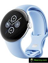 Google Pixel Watch2