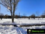 Xiaomi 13T Pro: 2x zoom - f/2.2, ISO 50, 1/2801s - Review Xiaomi 13T vs.  Xiaomi 13T Pro