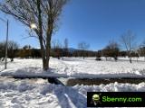 Xiaomi 13T: 2x zoom - f/2.2, ISO 50, 1/1401s - Review Xiaomi 13T vs.  Xiaomi 13T Pro