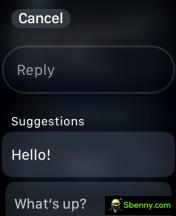 Answers and keyboard - Apple Watch Series 9 review