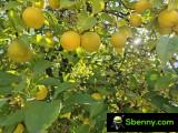 Main camera (1x) - f/1.7, ISO 64, 1/235s - Travel with Oppo Find N3 camera
