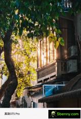 Examples of Realme GT5 Pro telephoto lenses