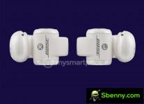 Bose ear clips