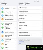 Honor V Purse home screen, Settings menu, dual-app multitasking and Magic Wallet