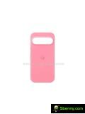 Official Google Pixel 9 Pro Cases