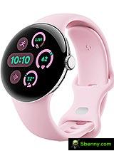 Google Pixel 3 Watch