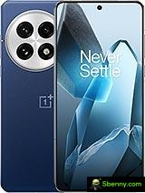 OnePlus13