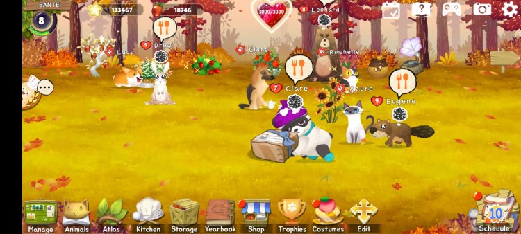 Screenshot_20241211-153834_ .jpg