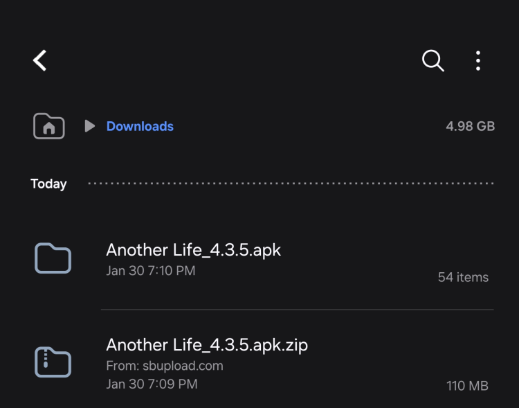 Screenshot_20250130_191228_My Files.png