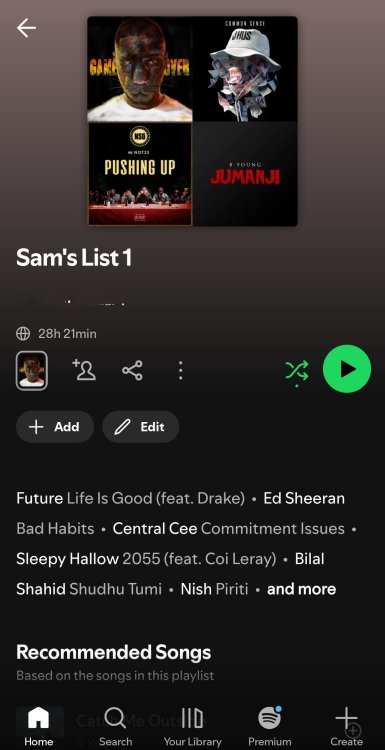 Screenshot_20250621_232408_Spotify~2.jpg