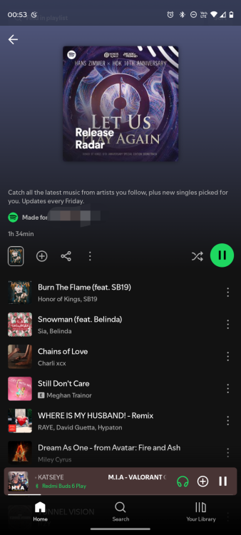 Screenshot_20251114-005317.Spotify Pro.png