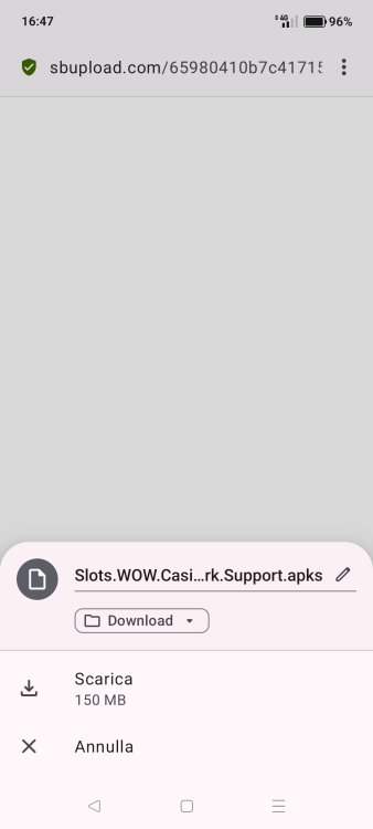 Screenshot_2026-02-07-16-47-19-74_4641ebc0df1485bf6b47ebd018b5ee76.jpg