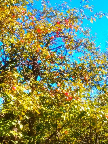 IMG_20260923_144531.jpg