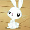 Bunny.gif