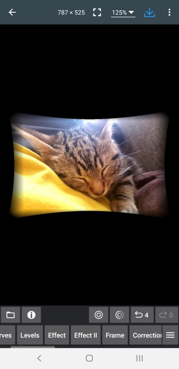 Screenshot_20220613-064832_Photo Editor.jpg