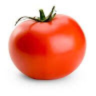tomatomato