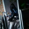 crazyofyard