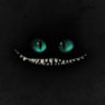 WeirdCat