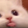 neisyyyaaaaa
