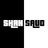 shahsaud13