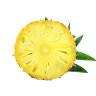 apenasranier