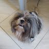 jessy0771738