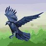 BirdieBirdie