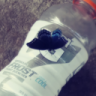 branfrssu