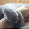 isanli