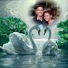 Thetesur08